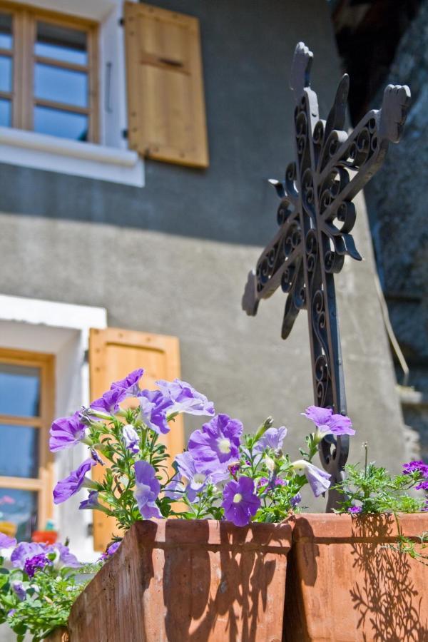 Au Cheval Blanc - appartements et chambres d'hôtes Albertville Exterior foto