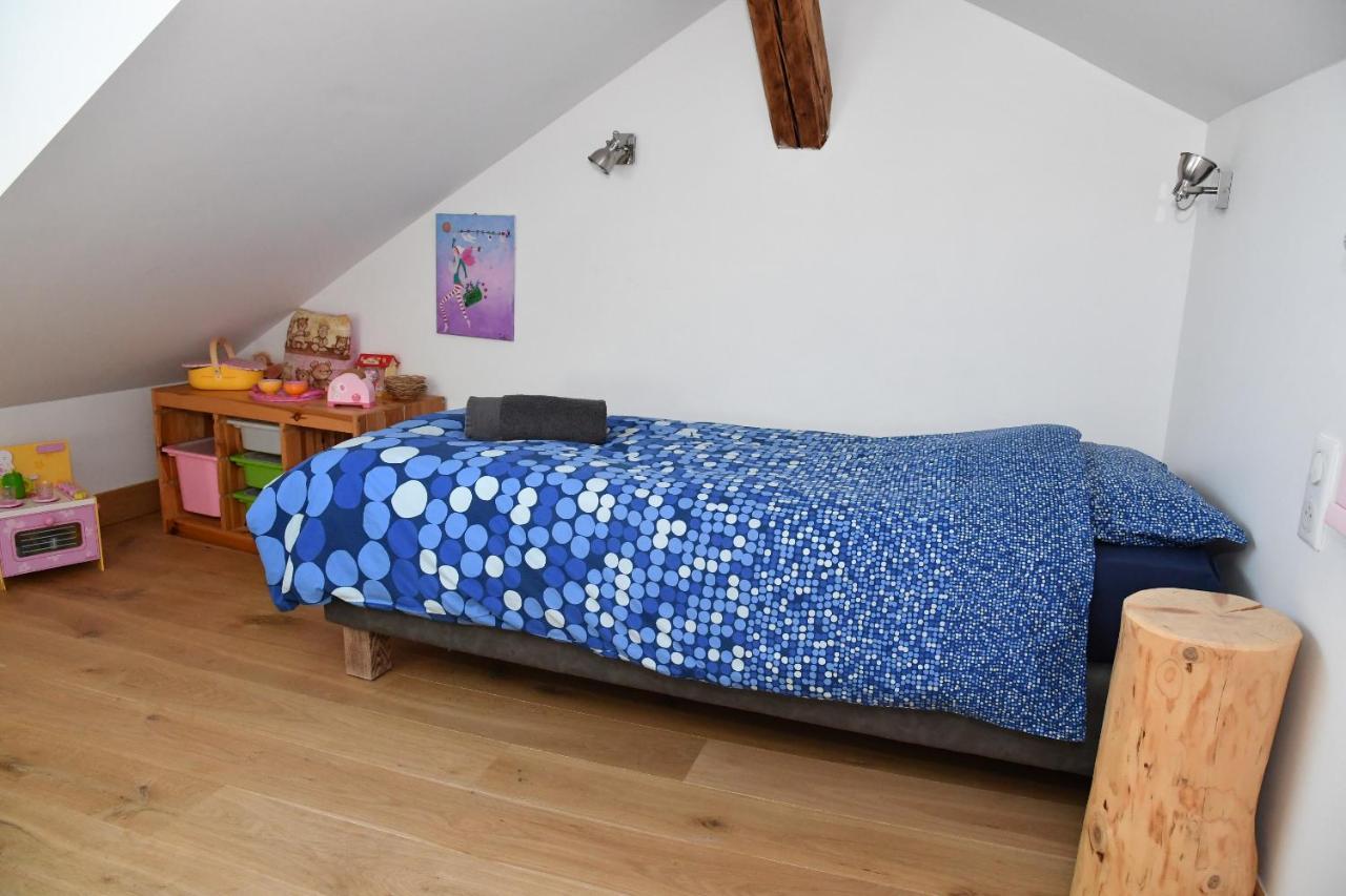 Au Cheval Blanc - appartements et chambres d'hôtes Albertville Exterior foto